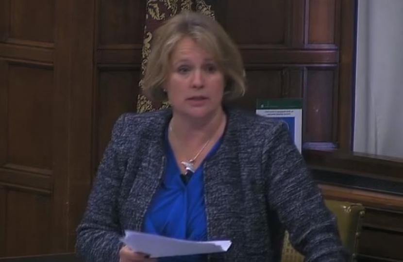 Vicky Ford speaking in Westminster Hall debate