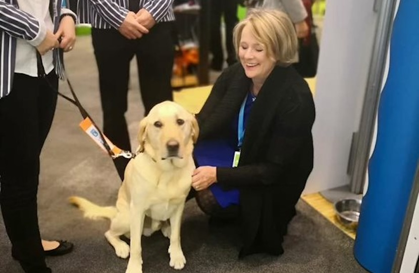 guide dogs