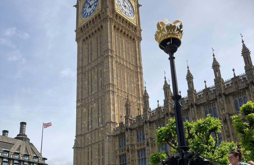 Lily Mae visits Parliament