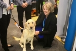 Guide Dogs